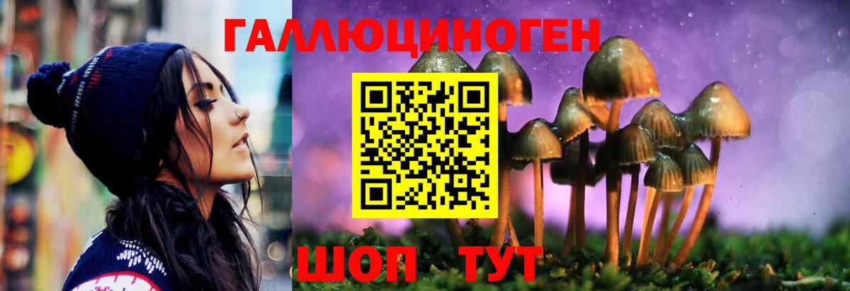 Астрахань  Псилоцибиновые грибы Magic Shrooms  Псилоцибиновые грибы мухоморы  Вход с VPN 